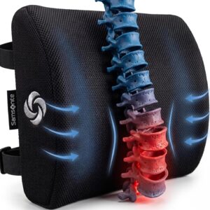 Samsonite Lumbar Support Pillow for Office Chair, Lower Back Support for Car, Back Pillow Desk Chair Cushion with Memory Foam, Improved Posture Backrest